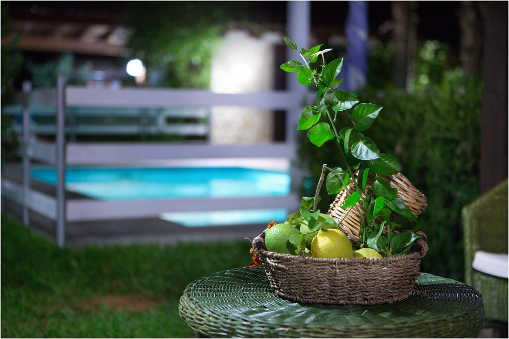 Ai Parchi Dei Parrini Bed & Breakfast Partinico Rom bilde