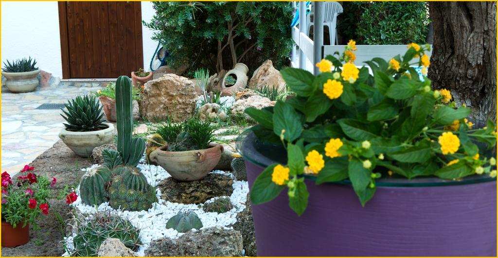Ai Parchi Dei Parrini Bed & Breakfast Partinico Eksteriør bilde